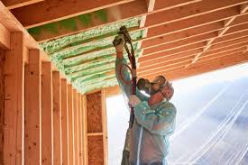 Types of Insulation We Offer in Salida Del Sol Estates, TX