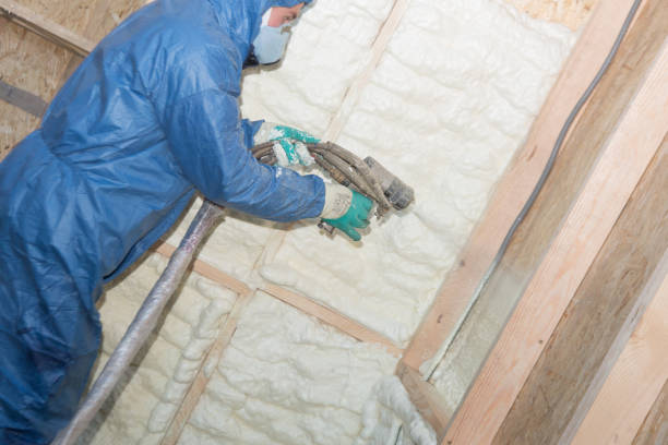 Trusted Salida Del Sol Estates, TX Insulation Experts